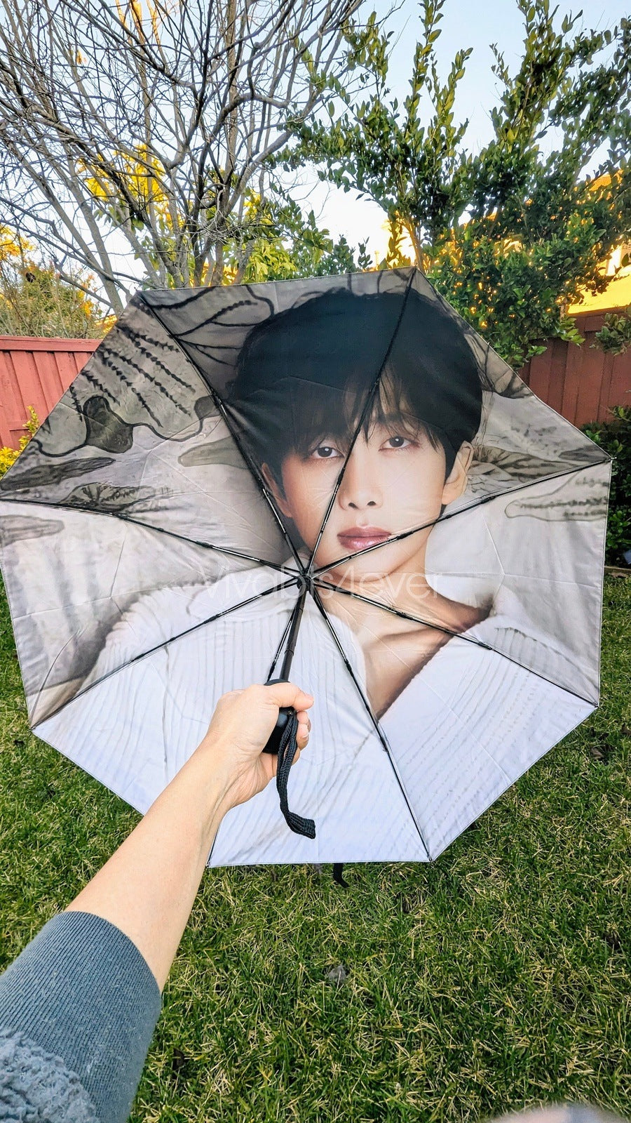 RM Umbrellas