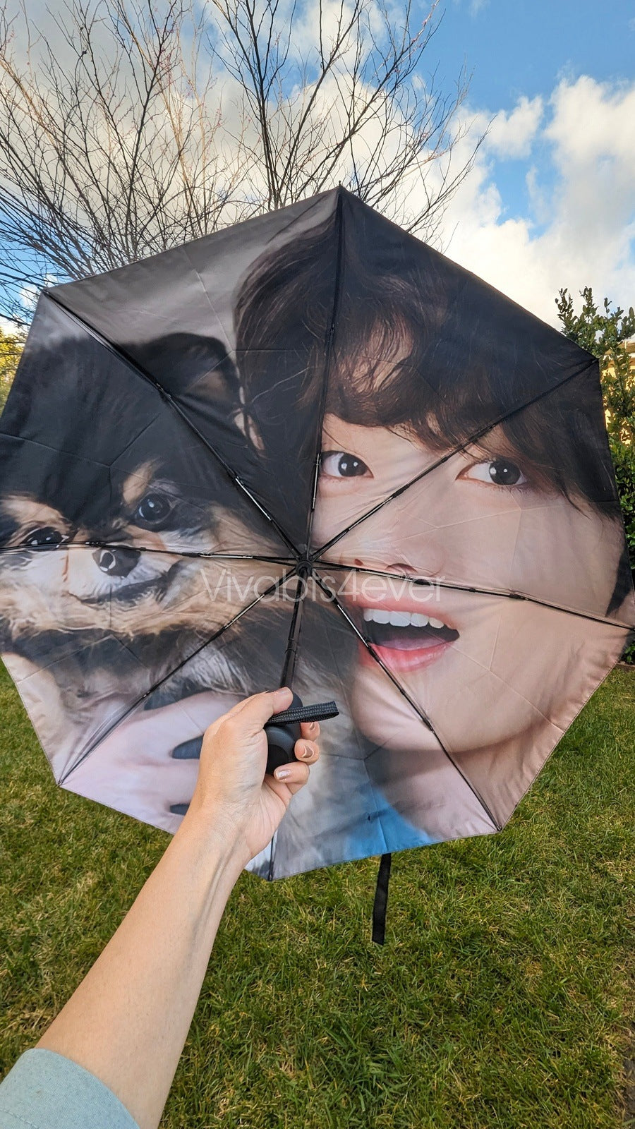 Taehyung Umbrellas