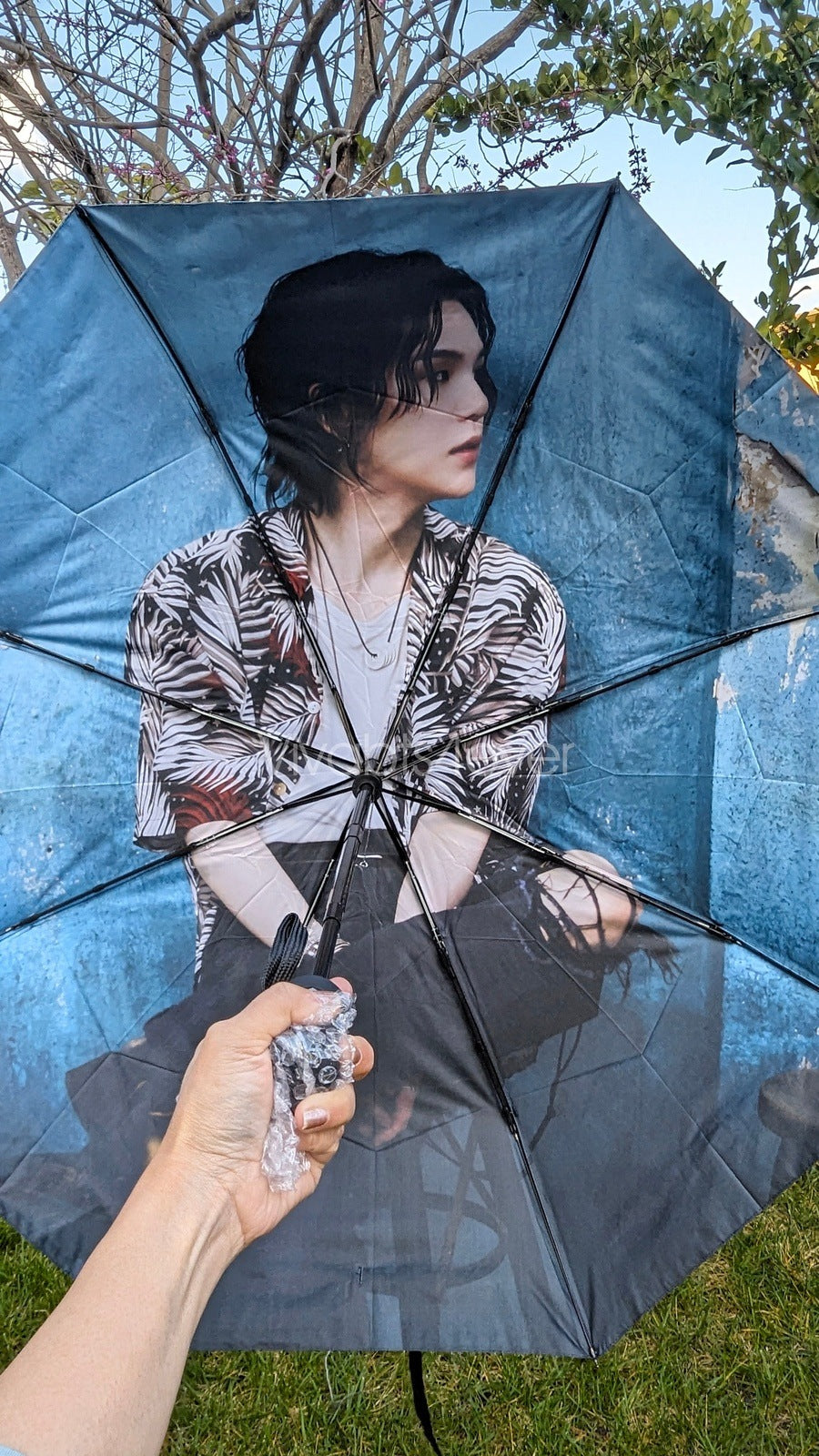 Suga Umbrellas