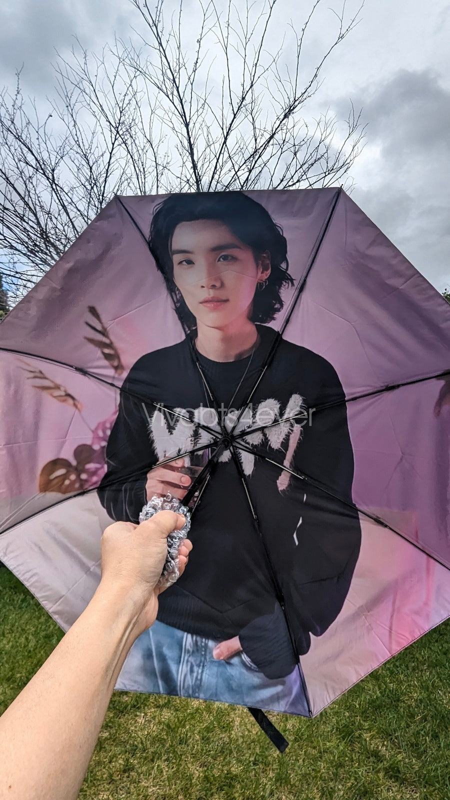 Suga Umbrellas