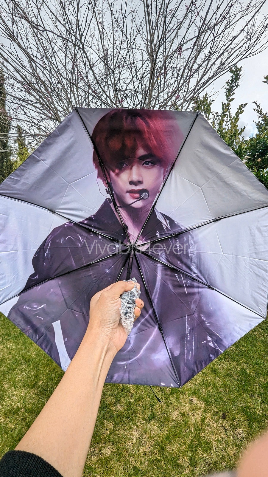 Taehyung Umbrellas