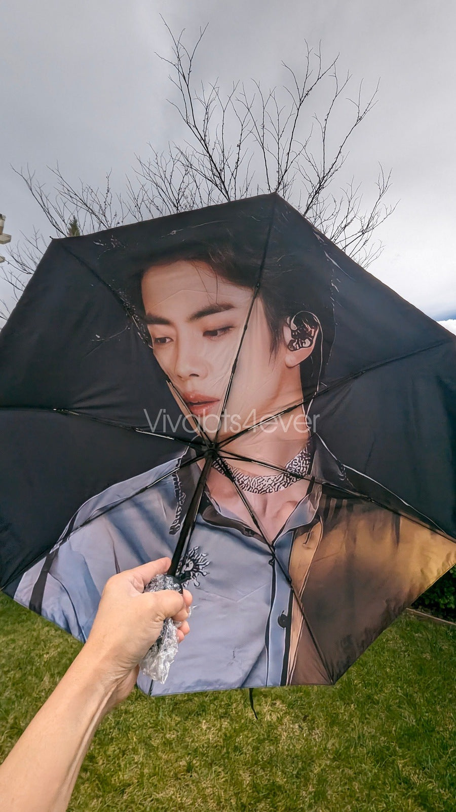 Jin Umbrellas