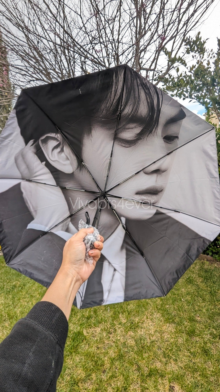 Jin Umbrellas